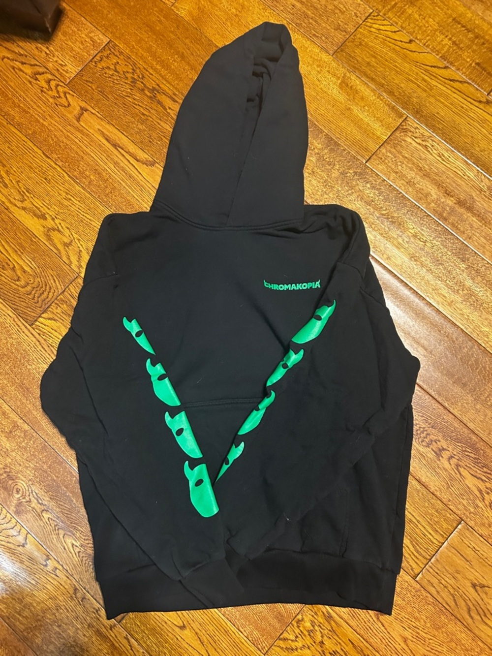 Popular Chromakopia Hoodie 
Black with Green Graphic Design